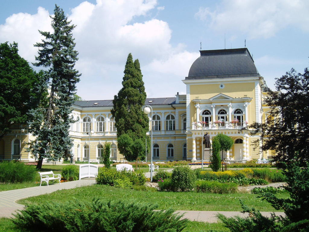Dr. Adler Spa & Kurhotel Frantiskovy Lazne Ngoại thất bức ảnh